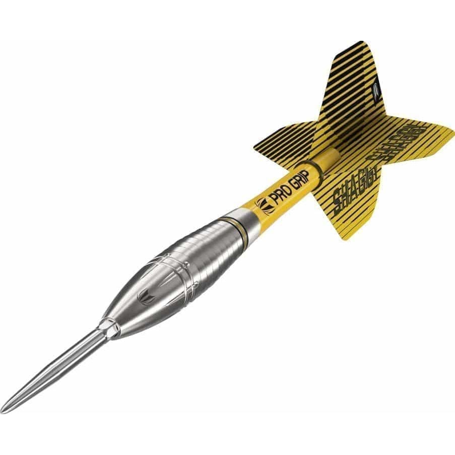 190222 SCOTT WILLIAMS 90 SP 25G STEEL TIP DARTS 2023 DYNAMIC