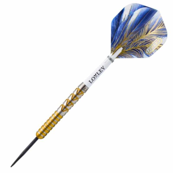 Saiyan darts 1